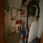 Ibr- Mileni 3 *